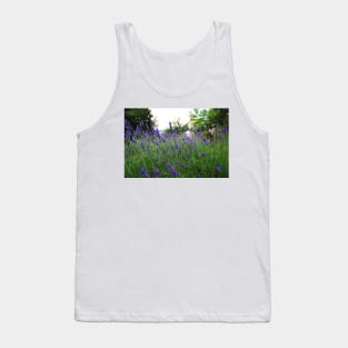 A field of fragrant lavender Tank Top